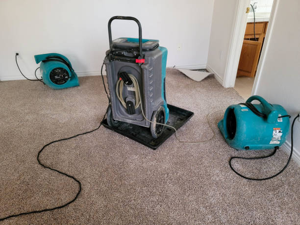 Trusted SC Water damage restoration Experts