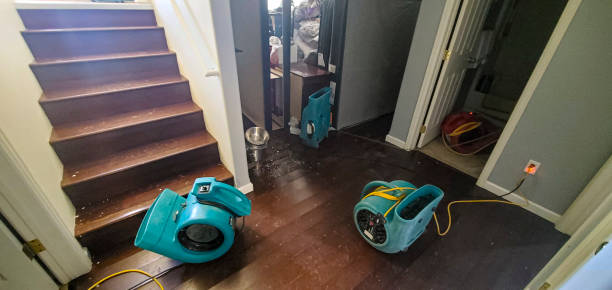 Best Mold removal after water damage  in Denmark, SC
