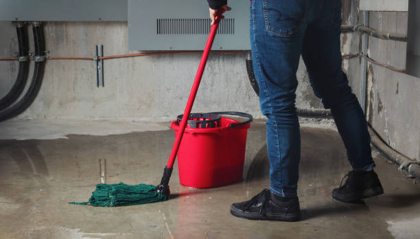 Best Local water damage restoration  in Denmark, SC