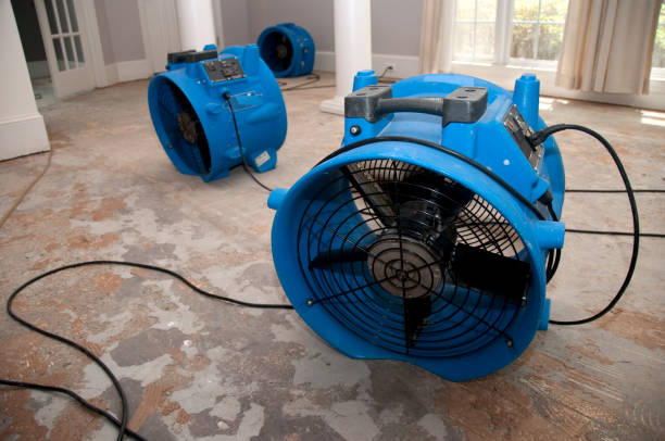 Best Emergency water damage restoration  in Denmark, SC