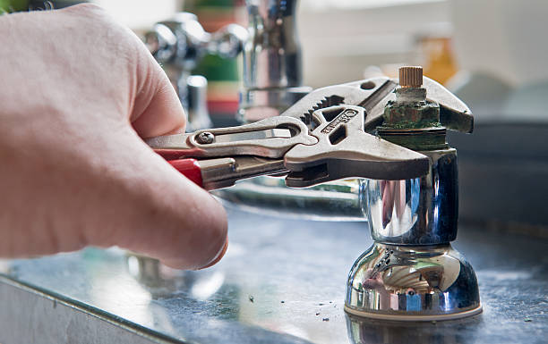 Best Sewage cleanup and water damage restoration  in Denmark, SC