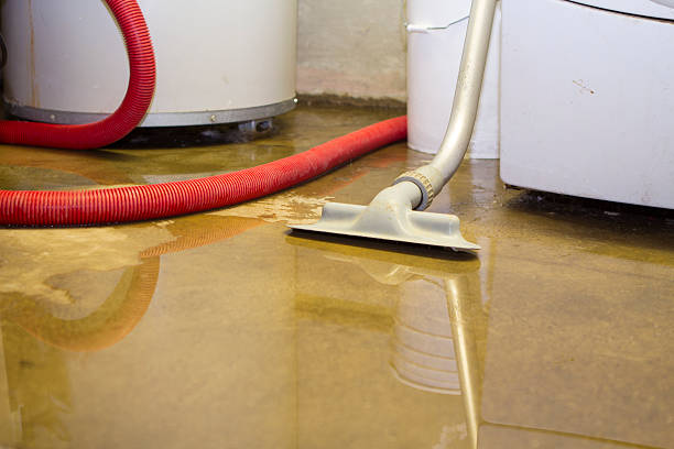 Best Water damage restoration near me  in Denmark, SC