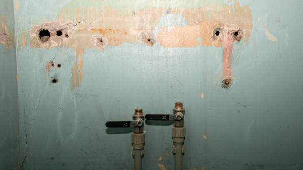 Best Residential water damage restoration  in Denmark, SC