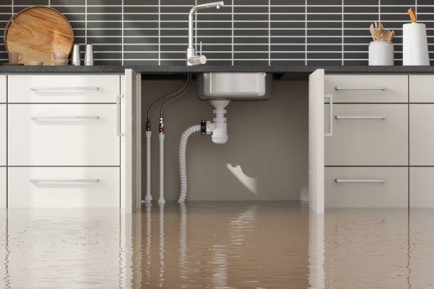Best Carpet water damage restoration  in Denmark, SC