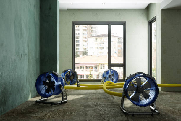 Best 24-hour water damage restoration  in Denmark, SC