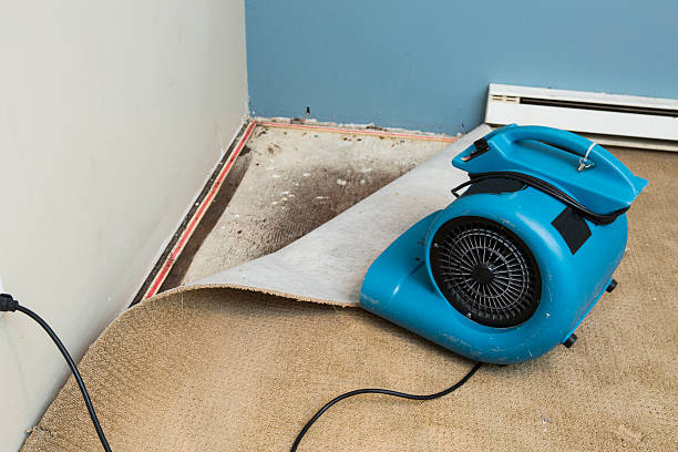 Best Carpet water damage restoration  in Denmark, SC